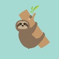 Sloth hugs tree branch. Cute cartoon character. Wild joungle animal collection. Baby education. Blue background. Flat design