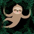 Sloth in the jungle scene