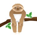 Sloth with a pillow sitting on a branch