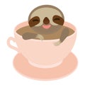 Sloth in a Pink cup coffee, tea, Three-toed sloth isolated on white background. Vector