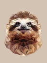 Sloth Portrait Royalty Free Stock Photo