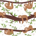 Sloth seamless. Cute little sleepy baby animal textile pattern family hanging vector concept Royalty Free Stock Photo