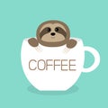 Sloth sitting in coffee cup teacup. Face and hands. Cute cartoon character. Wild jungle animal collection. Slow down. Baby educati