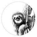 Sloth sketch vector graphics