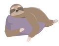 Sloth sleeping on pillow.