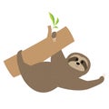 Sloth. Tree branch Cute cartoon character. Fluffy fur. Wild joungle animal collection. Baby education. Isolated. White background. Royalty Free Stock Photo