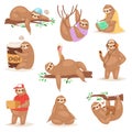 Sloth vector slothful animal character playing or sleeping in slothfulness illustration set of lazy sloths reading book