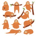 Sloths set, cartoon cute various poses of sloths characters