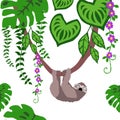 Sloths in Tropical Jungle Seamless Pattern, sloths Repeat Pattern for textile design, fabric print, fashion or background