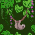 Sloths and Tropical Plants Seamless Pattern, Exotic Birds Rainforest Tropical Leaves Repeated Pattern Backround