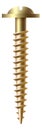 Slotted round washer screw. Gold metal fastener Royalty Free Stock Photo