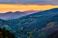 Slovak mountain landscape, valley with colorful forest at sunset. Late autumn. Royalty Free Stock Photo
