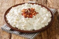 Slovak national dish Bryndzove halusky is made of small potato dumplings and a creamy cheese sauce closeup on the table. Royalty Free Stock Photo