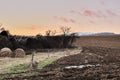 Slovak rural landscape at dusk. Colorful sky with pink clouds