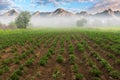 Slovakia countryside at foggy sunrise