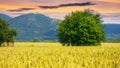 slovakia countryside in summer