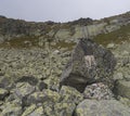 Slovakia, High Tatra mountain, September 15, 2018: Memorial plaque for mountain rescuers on footpath trail in Mlynicka Dolina