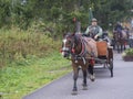 Slovakia, High Tatra mountain, Strbske pleso, September 15: Old men in hat with horse in Traditional harness and horse drawn carri