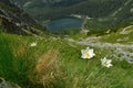 Slovakia, High Tatras, Poprad lake