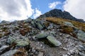 slovakian carpathian mountains in autumn. rock textures on walls