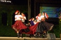 Slovakian dance ensemble Royalty Free Stock Photo