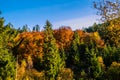 Slovakian nature autumn landscape with colorful forest