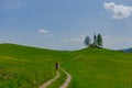 Slovenia - April 24, 2018: Slovenian countryside in spring with charming little church on a hill and blooming dandelions and