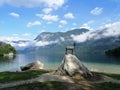 Slovenia, Bohinj lake, chamois statue on rock, early in the morning