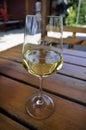 Slovenia, Glass with white wine