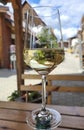 Slovenia, Glass with white wine