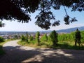Slovenia Maribor hill Piramida wineyard road panoramic view Royalty Free Stock Photo