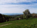 Slovenia Pohorje Areh meadow blooming apple tree spring