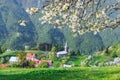 Slovenia, spring, rural landscape, church in the mountains