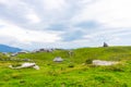 Slovenia velika planina big plateau, agriculture pasture land near city Kamnik in Slovenian Alps. Wooden houses on green land Royalty Free Stock Photo