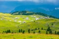 Slovenia velika planina big plateau, agriculture pasture land near city Kamnik in Slovenian Alps. Wooden houses on green land