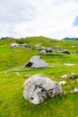 Slovenia velika planina big plateau, agriculture pasture land near city Kamnik in Slovenian Alps. Wooden houses on green land