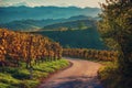 Slovenian and Austrian wine road