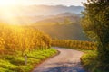 Slovenian and Austrian wine road