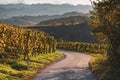 Slovenian and Austrian wine road