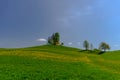 Slovenian countryside in spring with charming little church on a hill and blooming dandelions and daffodils wildflowers. Sunny