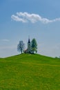 Slovenian countryside in spring with charming little church on a hill and blooming dandelions and daffodils wildflowers. Sunny