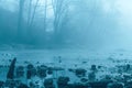 Slovenian Jezernica river in foggy morning. This body of water is one of the shortest rivers in the world, running from lake Royalty Free Stock Photo