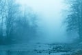 Slovenian Jezernica river in foggy morning. This body of water is one of the shortest rivers in the world, running from lake Royalty Free Stock Photo