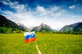 Slovenian landscape with flag Royalty Free Stock Photo