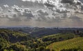 Slovenian vineyards GoriÃÂ¡ka Brda hills