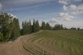 Slovenske Gorice Landscape