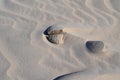 Slovinski national park, Leba sand dune on the Baltic coast, Poland, Europe Royalty Free Stock Photo