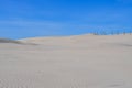 Slovinski national park, Leba sand dune on the Baltic coast, Poland, Europe Royalty Free Stock Photo