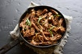 Slow cooked italian beef for sandwiches Royalty Free Stock Photo