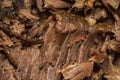 Slow cooked shredded pulled beef background Royalty Free Stock Photo